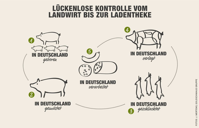 Grafik_Moderne Schweinehaltung