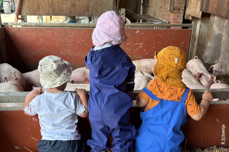 Wie ein Ausflug zum Bauernhof Kinderherzen höherschlagen lässt!