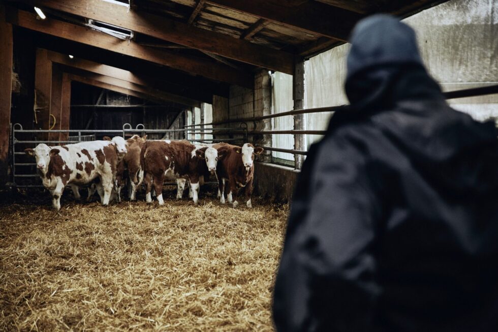 landwirtschaft-klima-019-980x653