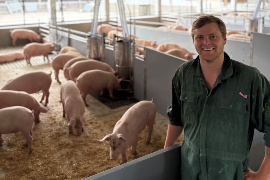 Landwirt Pritschau Schweinehaltung Haltungsstufe 3